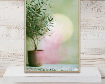 Olive Tree Poster ,Olive Tree Print, Olive Tree Wall Art, Olive Print, Botanical Print, Kitchen Decor