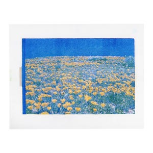 Poppy Preserve, #2, 2024