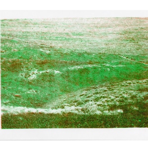 May include: A green and brown landscape print on white paper. The artwork depicts a grassy field with a path and figures in the distance. The color palette includes shades of green, brown, and white, creating a naturalistic scene.