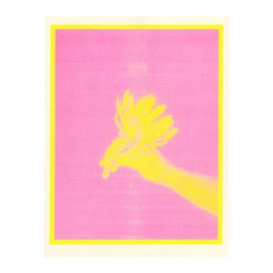 Kaktusblüte, Risograph Print. 2022