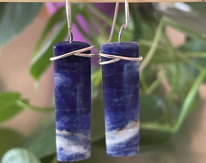 Snow Mountain Sodalite Sterling Silver Earrings