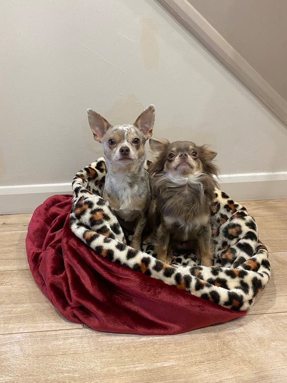 Chihuahua clearance snuggle sack