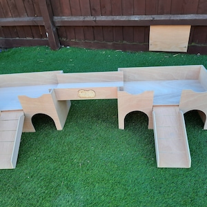 Double guinea pig house /castle with connecting bridge