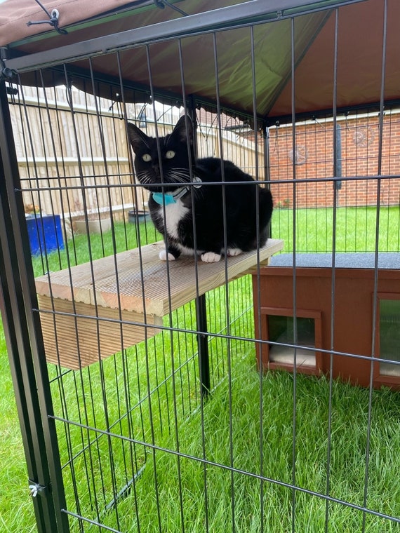 Chinchilla playpen large hot sale