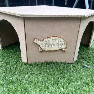 New design corner  Tortoise house /shelter/hide