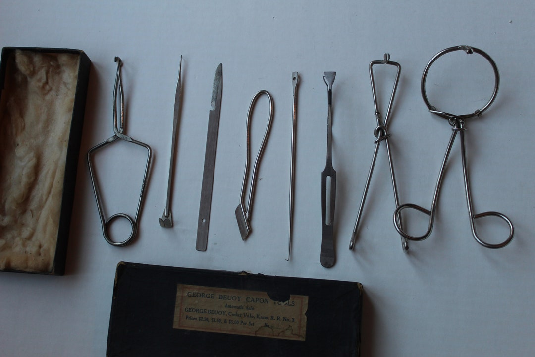 Antique Medical Castration Kit 1912 Beuoy Capon Etsy
