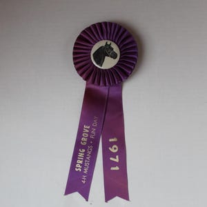 Vintage Purple 1971 Horse Ribbon, Horse Awards Pin from 1970s, Celluloid Old Horse Equestrian Ribbon Spring Grove, PA Mustangs Horse Show