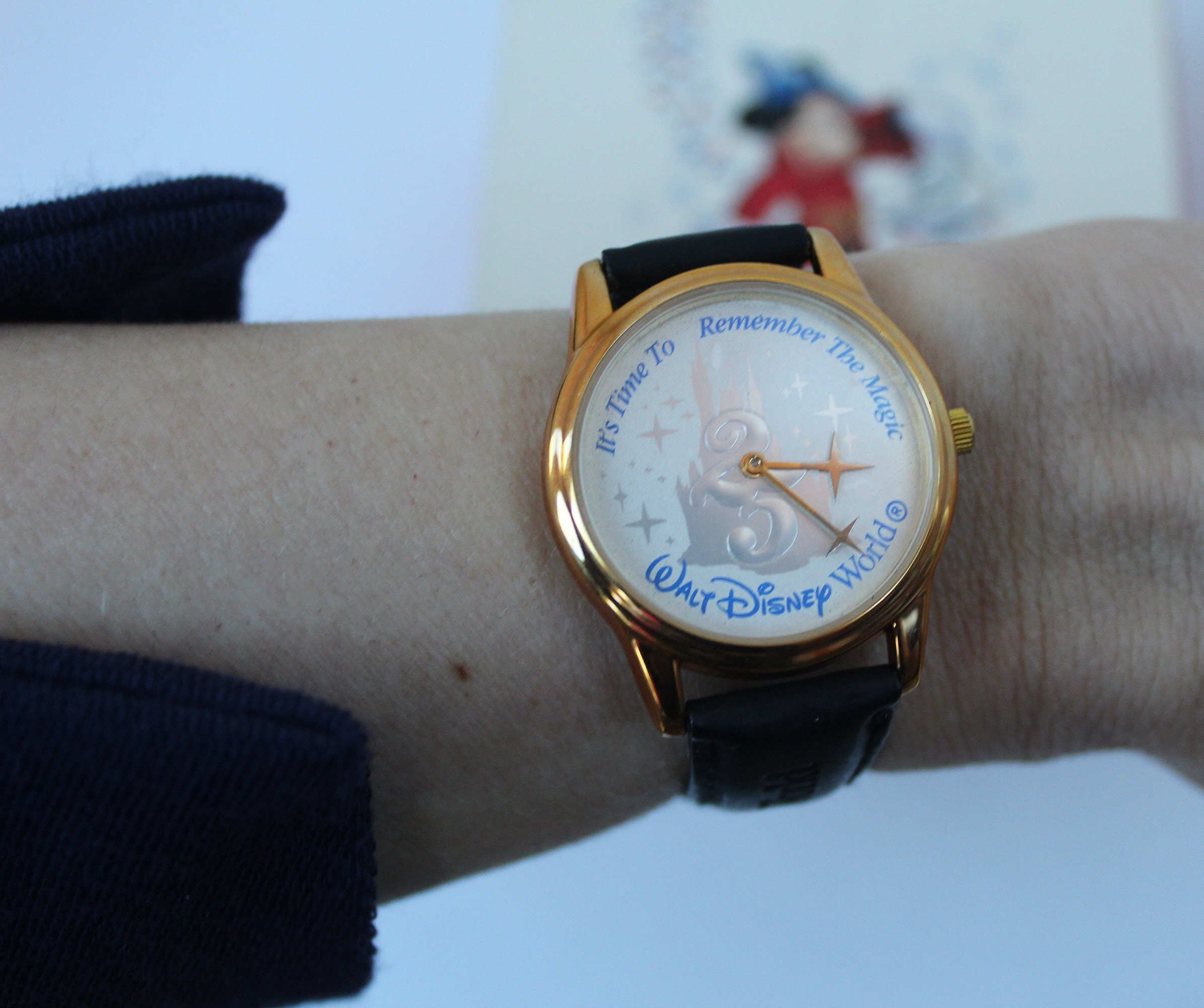 ヴィンテージ ウォルト ディズニー ワールド 25 年記念 ユニセックス