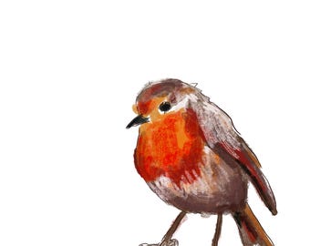 Robin Hand drawn digital Print 2025