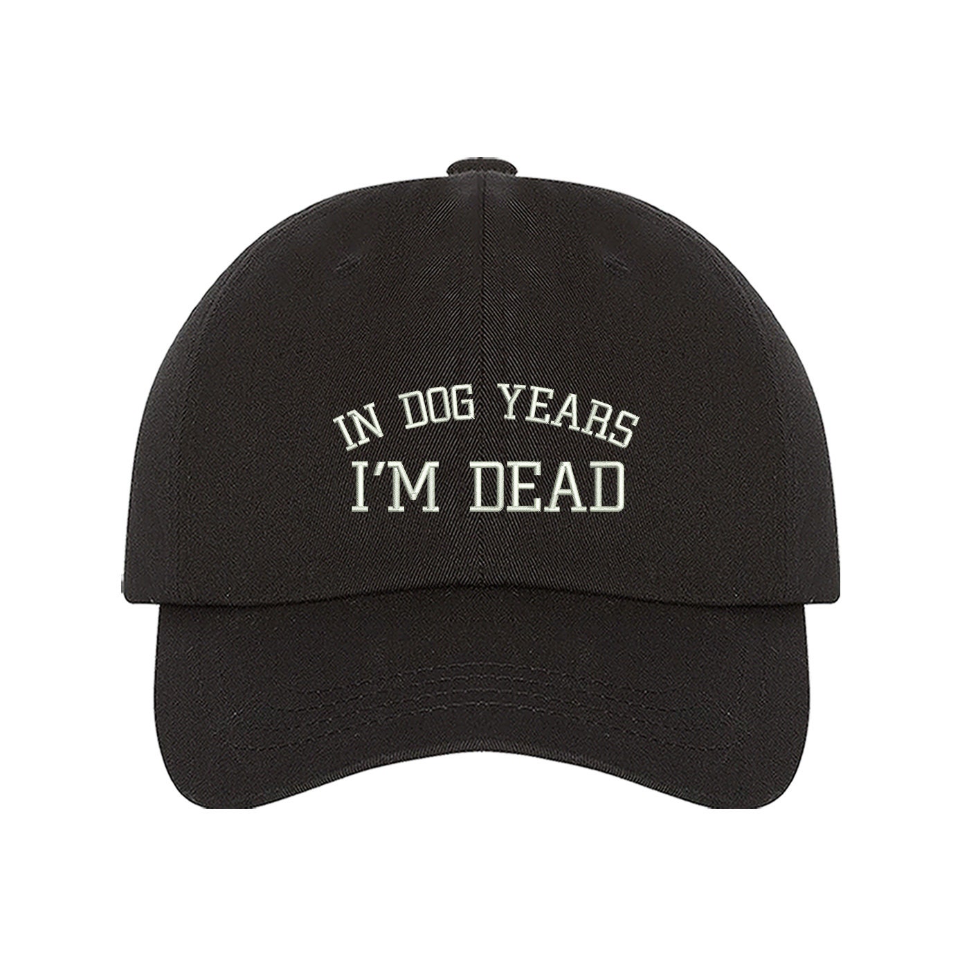 In Dog Years I'm Dead Baseball Hat Funny Cap Embroidered Baseball Cap, Funny Summer Hat Cool