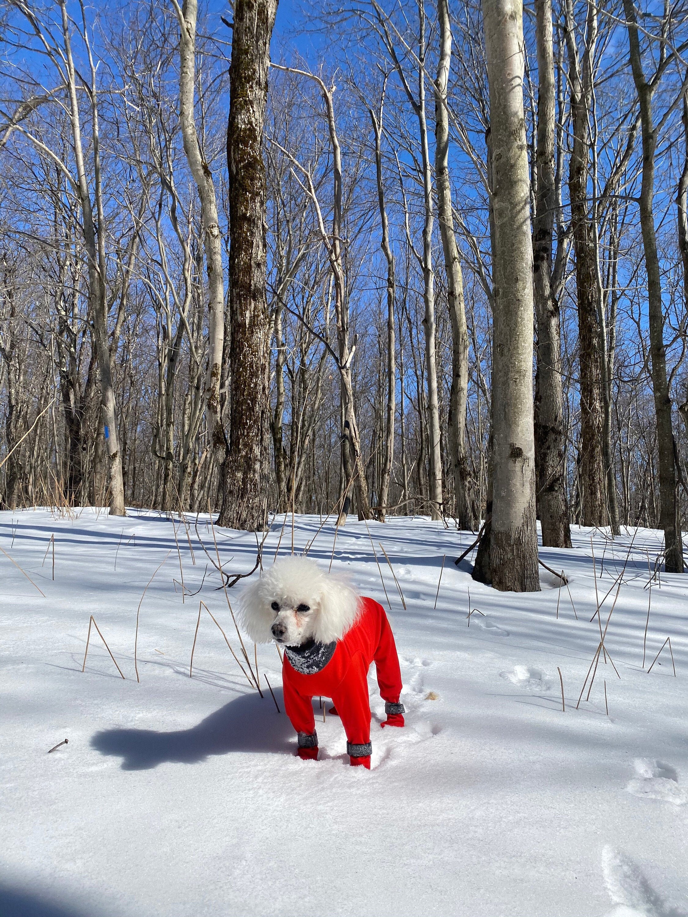 custom dog snowsuit