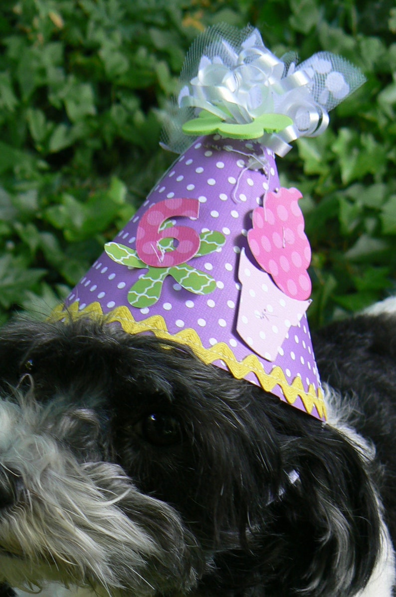Dog Birthday Hats Personalized Pet Hats Hand Made Hats For Your Pets
