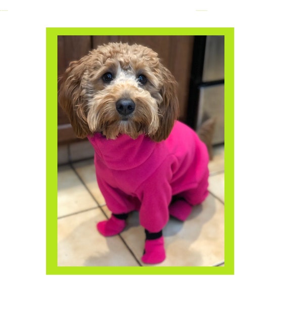 winter dog suit with built in boots