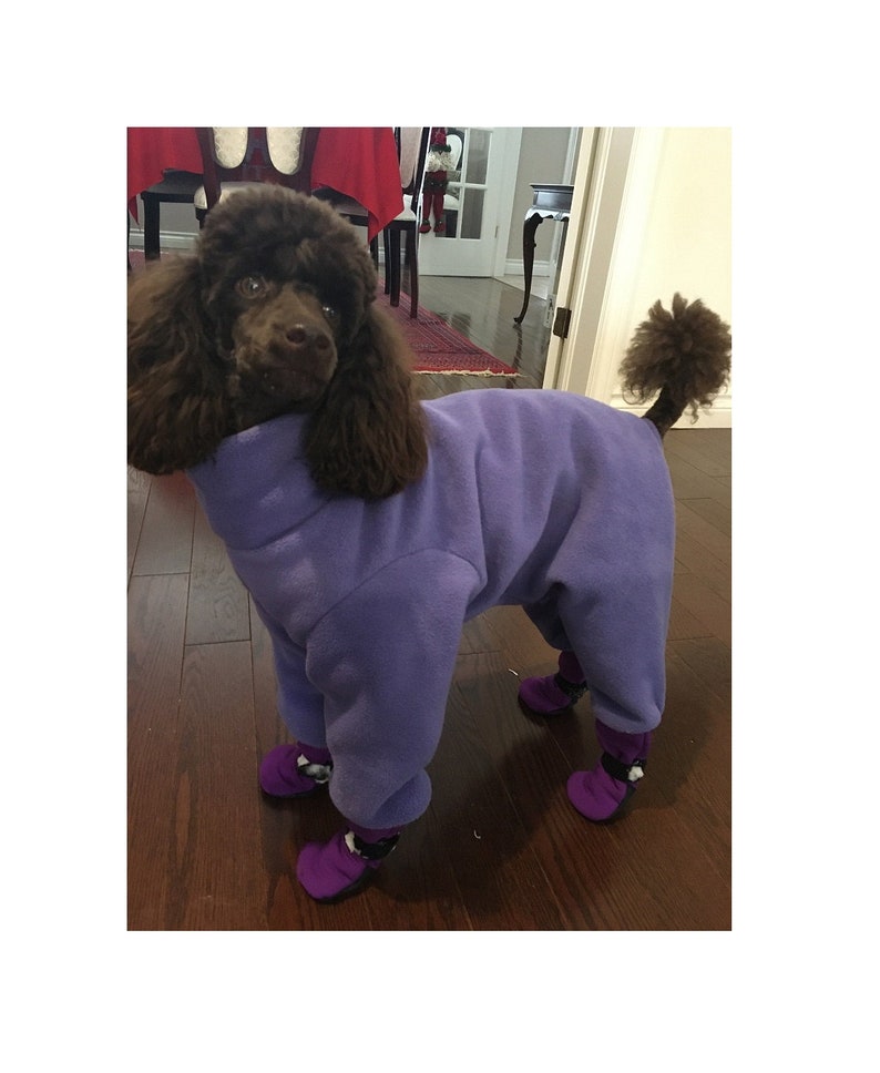 Winter dog suit / Dog suit with attached waterproof boots / Etsy