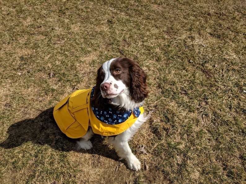 Yellow Dog Rain Coat And Hat / Custom Taylored To Fit Your Dog Etsy