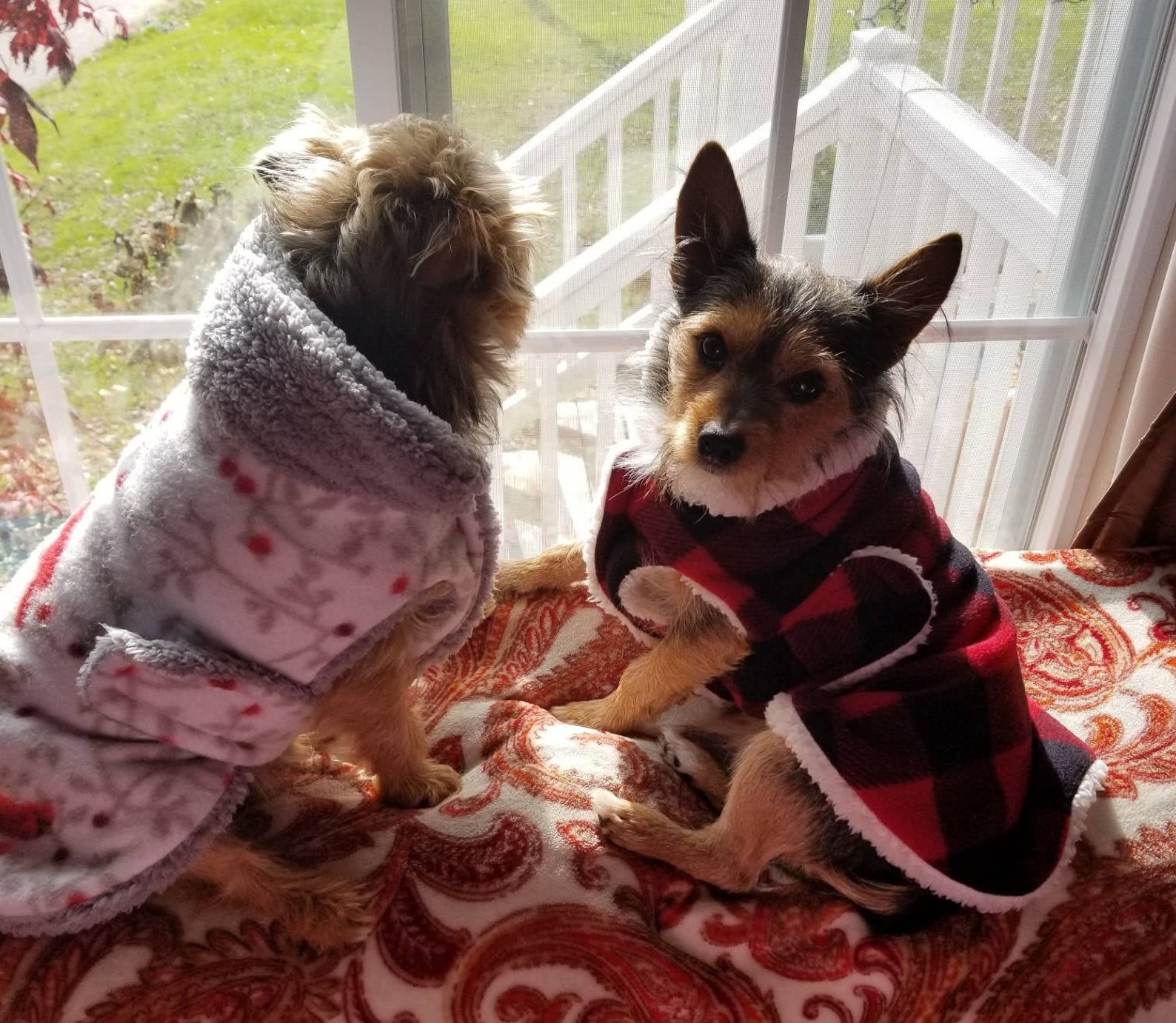 Warm and fuzzy pink winter dog coat / Custom made dog coats Etsy