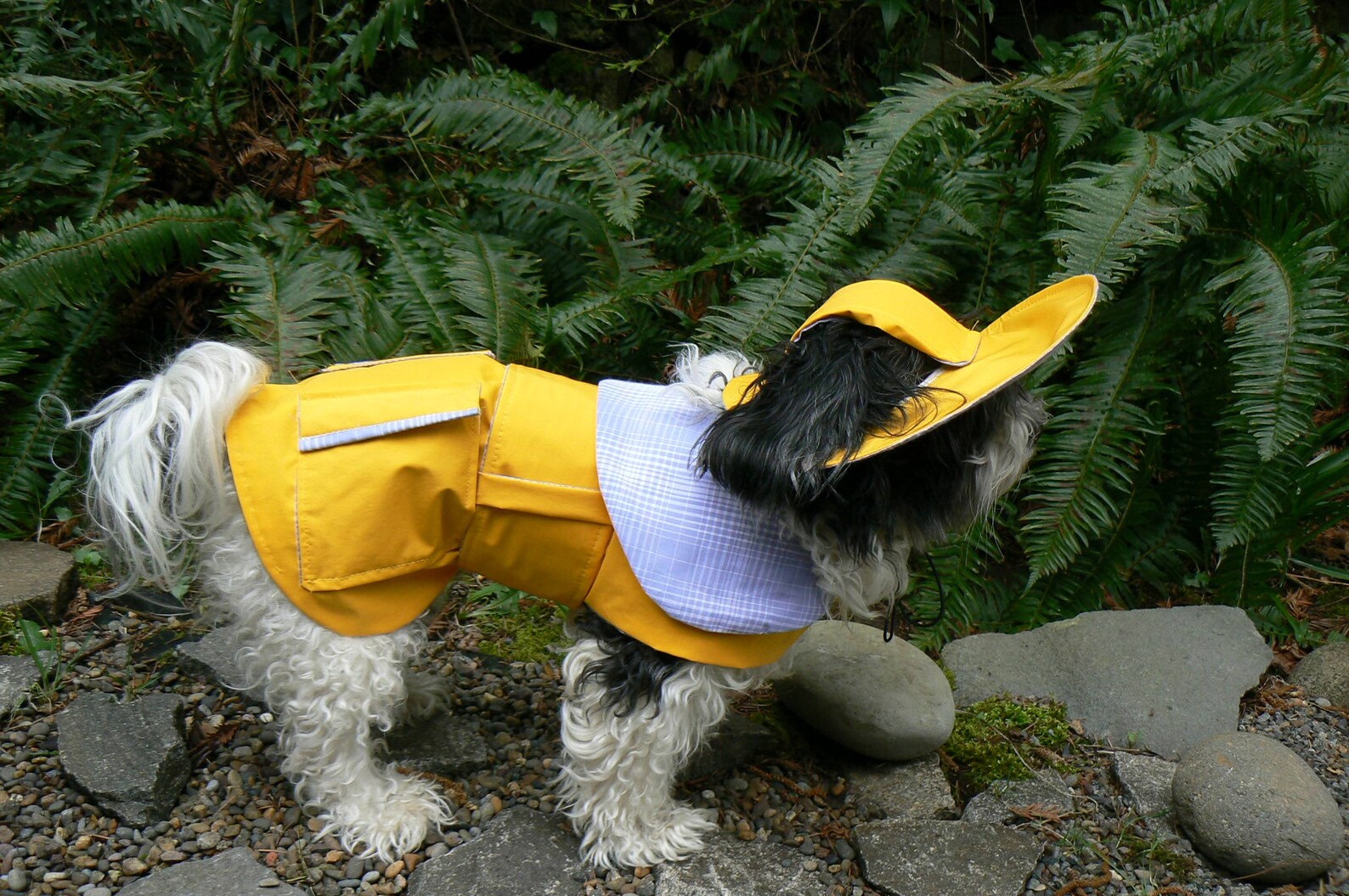 Dog Rain Hat
 Yellow Dog Rain Coat And Hat Custom Taylored To Fit Your Dog