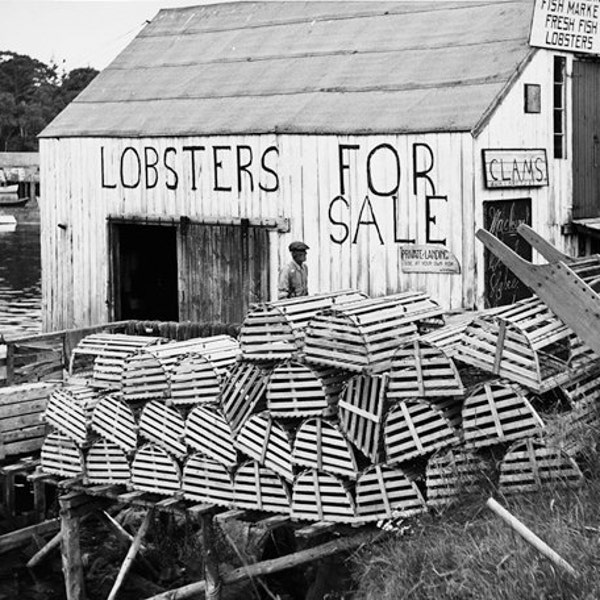 Lobster Shack Etsy