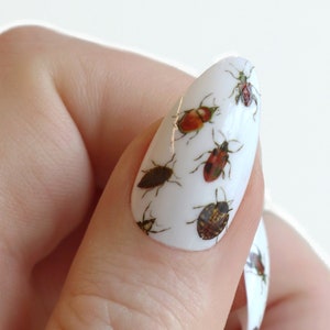 Beetle Waterslide Nail Decals DIY Nail Art Insect Nail Stickers Ladybug & Beetle Nails Gift image 1