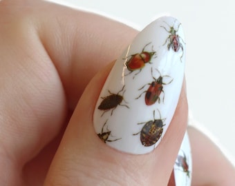 Décalcomanies pour glissades d'eau Beetle | Décoration d'ongles DIY | Stickers ongles insectes | Clous de coccinelle et de scarabée | Cadeau