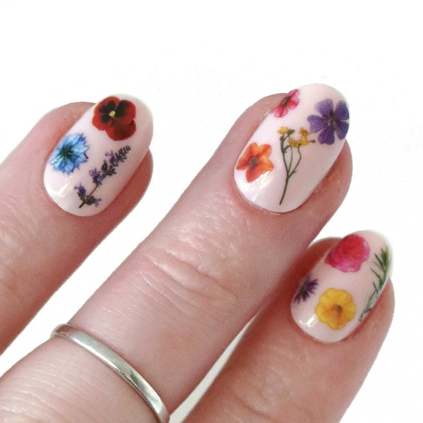 Kleurrijke bloemen waterglijbaan nagelstickers | nagelstickers met bloemenwaterglijbaan | bloemennagels | regenboogbloem nagelstickers | gedroogde bloemen