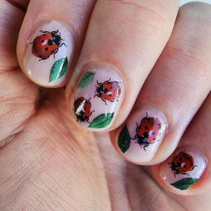 Ladybird nail decals | cute ladybird and leaves nail tattoos | ladybird nail art | insect waterslide nail decals | insect nail art | summer