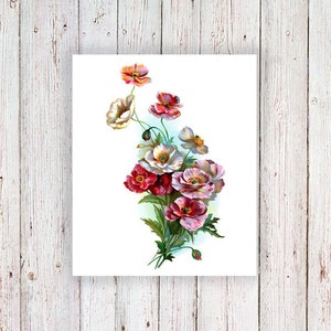 May include: A bouquet of pink, white, and red poppy flowers with green leaves. The flowers are arranged in a cluster and have a vintage style.