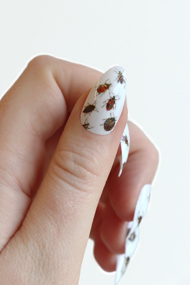 Beetle Waterslide Nail Decals DIY Nail Art Insect Nail Stickers Ladybug & Beetle Nails Gift image 1