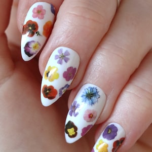 May include: Close-up of a hand with white nail polish and dried flower nail art. The flowers are in various colors, including purple, blue, yellow, and orange.