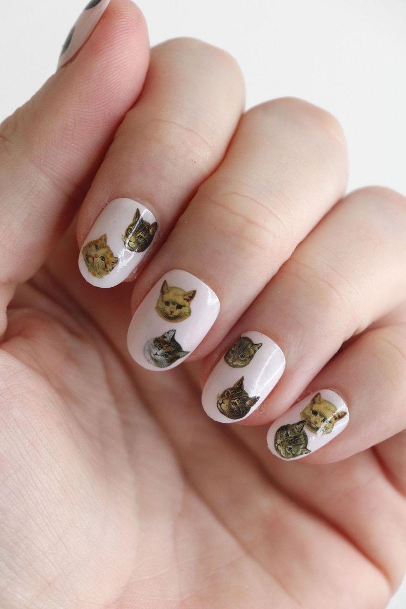 May include: A hand with white nail polish and cat face nail decals. The decals feature different colored cats with varying facial expressions.