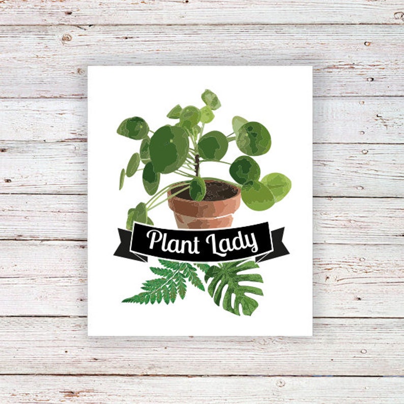 May include: A white card featuring a green plant in a brown pot. The plant has round leaves and is labelled "Plant Lady".