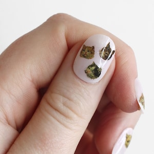 May include: Close-up of a finger with white nail polish and cat face nail decals. The decals feature different colored cats with varying expressions.