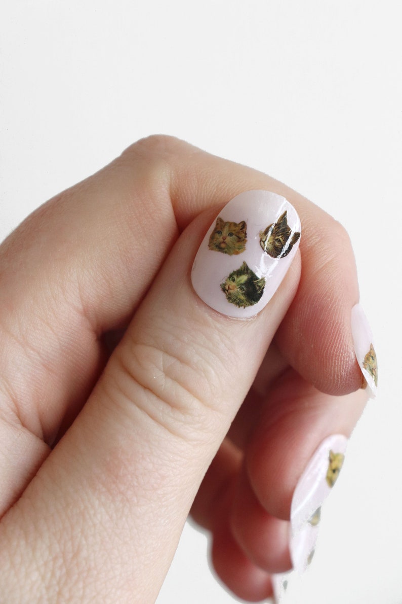 May include: Close-up of a finger with white nail polish and cat face nail decals. The decals feature different colored cats with varying expressions.