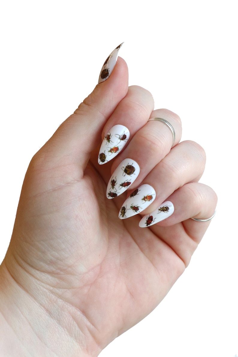 Beetle Waterslide Nail Decals DIY Nail Art Insect Nail Stickers Ladybug & Beetle Nails Gift image 4