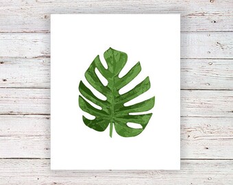 てち　超希少　本物　モンステラ　デリシオーサ　タトゥー　フィロデンドロン てち 超希少 本物 モンステラ デリシオーサ タトゥー