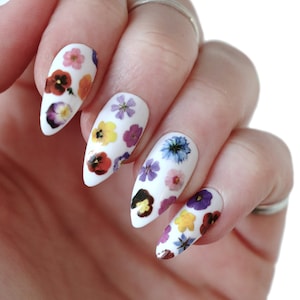 May include: Close-up of a hand with white almond-shaped nails decorated with pressed flowers. The flowers are a variety of colors, including purple, blue, yellow, and red.