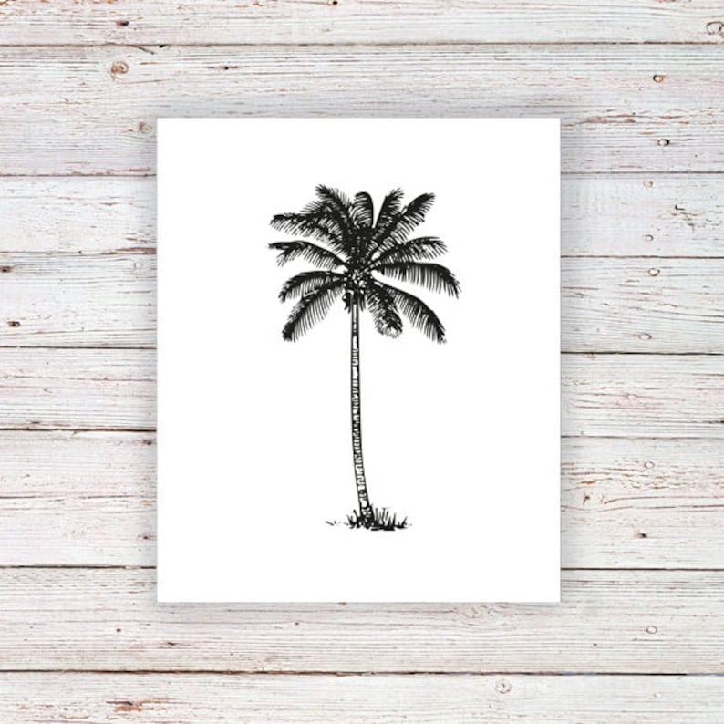 Эскизы тату пальмы