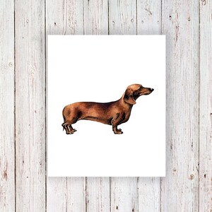 Small dachshund temporary tattoo dog temporary tattoo dog gift idea dachshund gift idea dog tattoo dog fake tattoo dog lover image 4