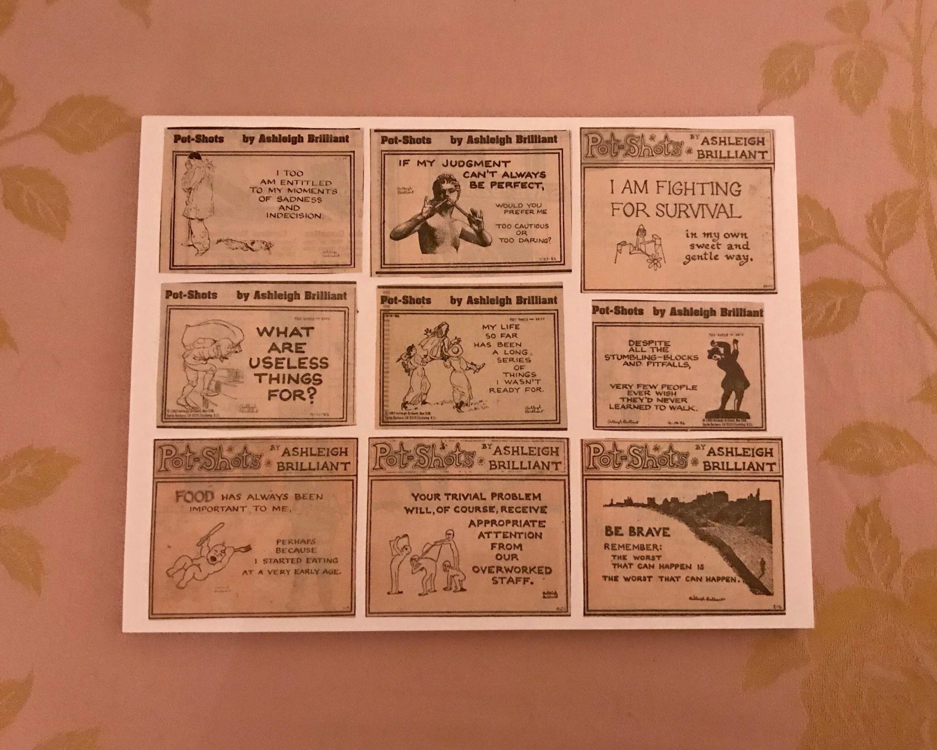 Vintage Original 258 Pot Shots by Ashleigh Brilliant 1970s to Etsy