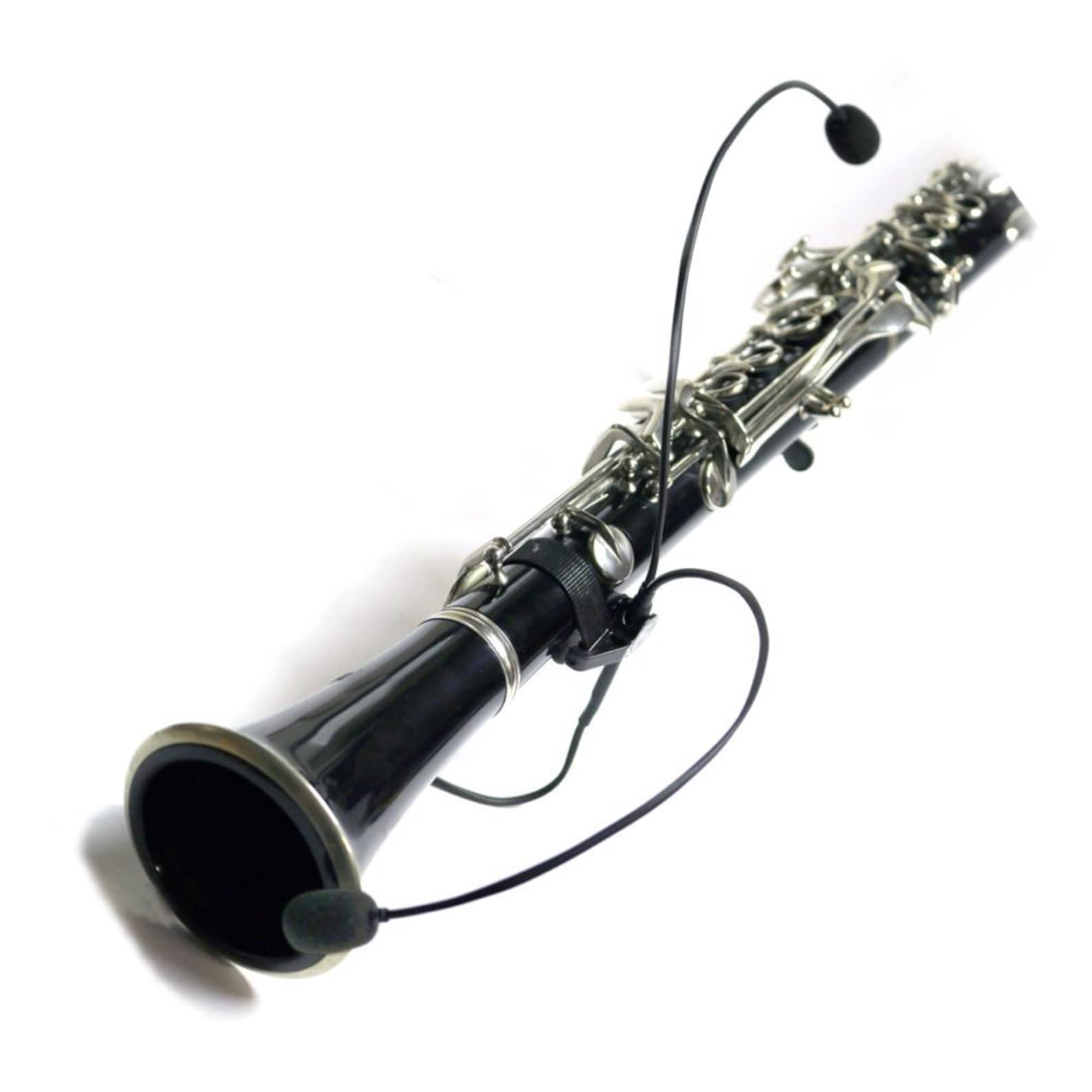 Piccolo Microphone, the Feather Plus With 2 10 Flexible Micro