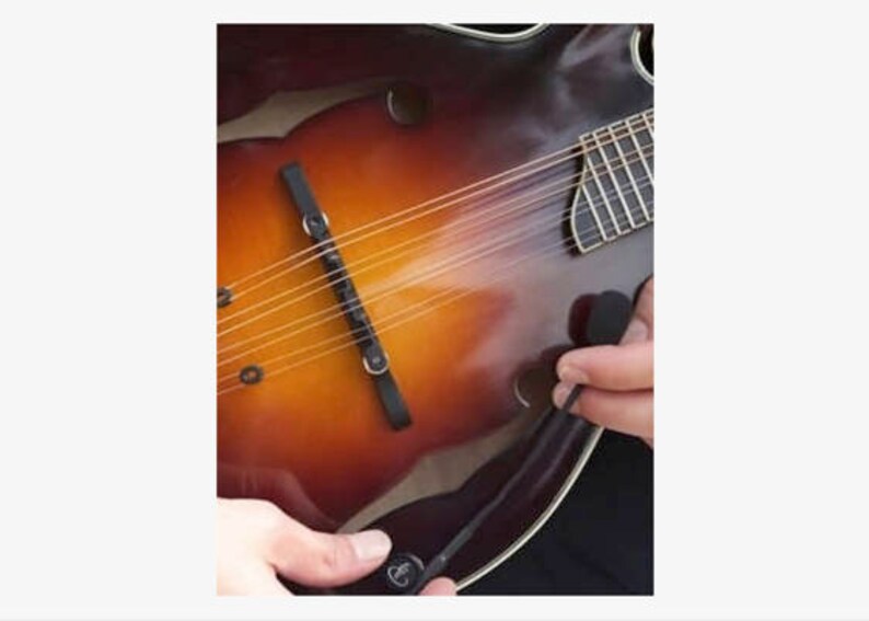 The Feather Mandolin Pickup With Flexible Microgoose Neck by Myers