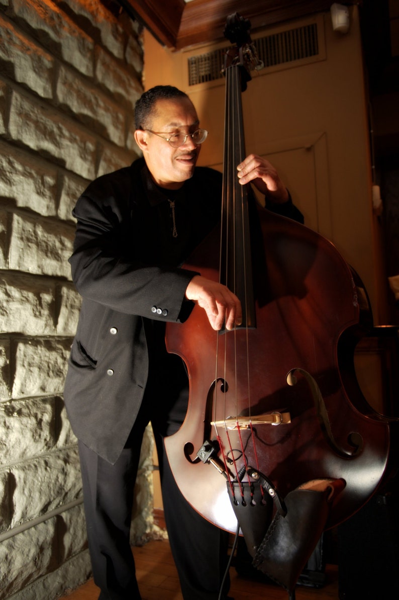 Upright Bass PICKUP With Flexible Microgooseneck. the Smallest, Allin