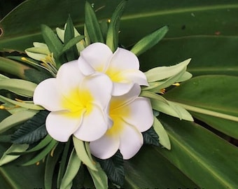 PLUMERIA HAIR CLIP-Plumeria from Heaven.