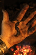 Hand forged Beast’s Claw Pendant – Symbol of Strength, Wildness & Protection product logo