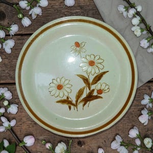 ACSONS OLDBROOK お皿 大皿 昔ながら製法 ストーンウェア Old brook stoneware - Etsy 日本