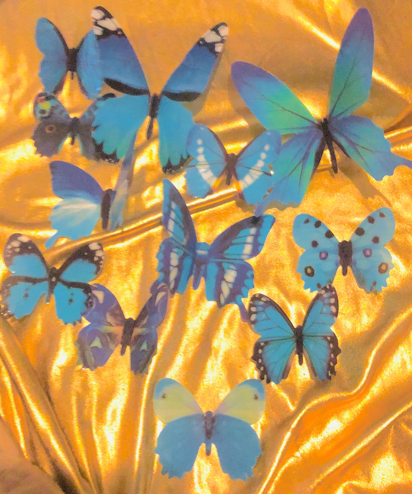 3D Butterfly Wall Decor | Etsy