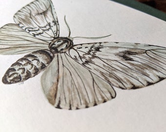 Light moth art print - A5 landscape