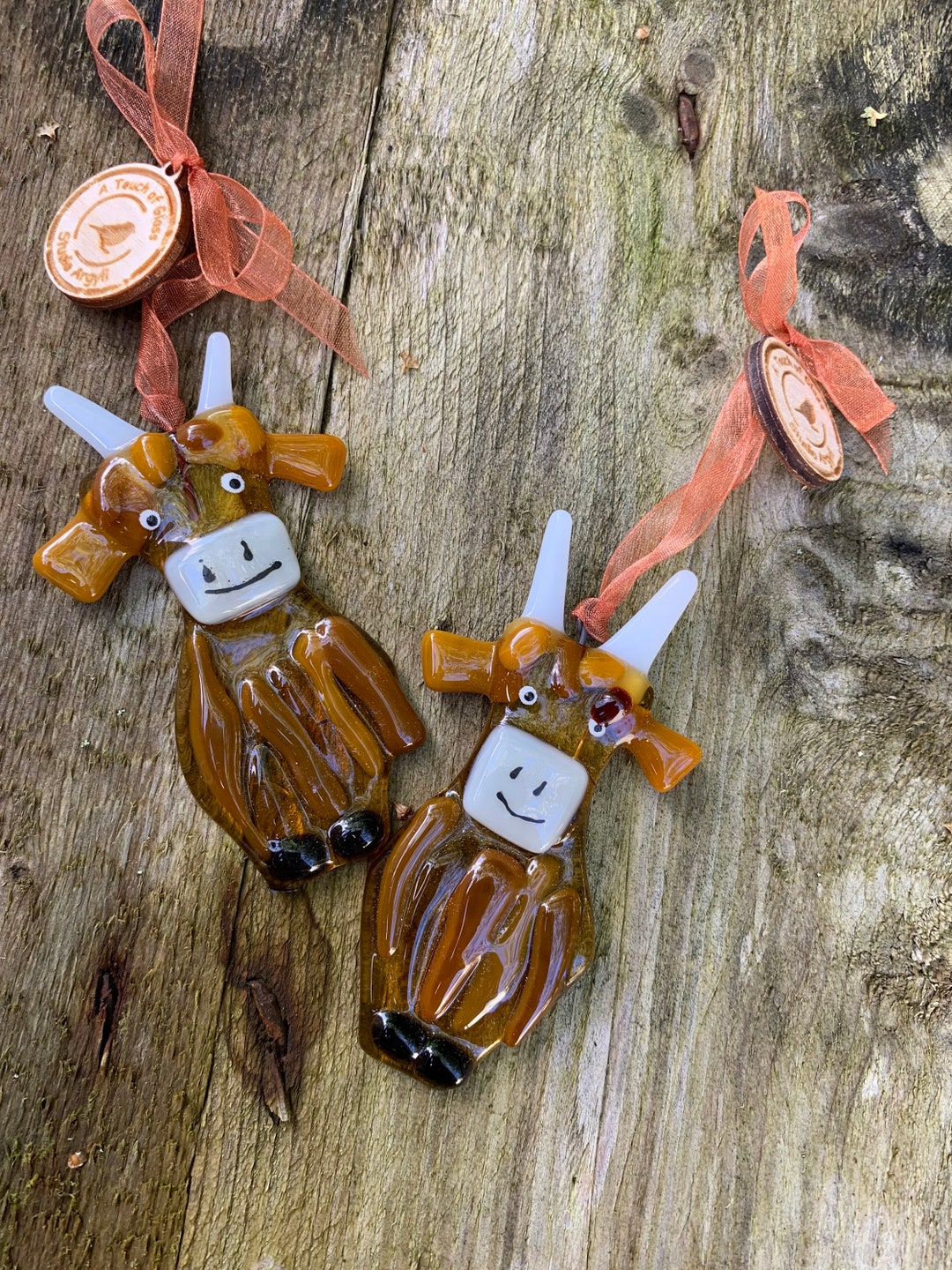 Fused Glass Hamish the Highland Cow Decoration Sun Catcher Etsy UK