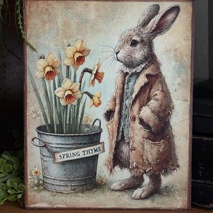 May include: A vintage-style illustration of a rabbit wearing a brown coat and blue vest, standing next to a bucket of yellow daffodils. The bucket is labeled "Spring Thyme".
