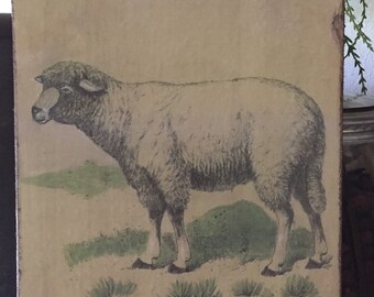 Handmade Antique Reproduction Primitive Folk Art Farmhouse Sheep Print on Canvas Board 8x10"